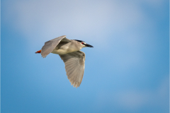 Z08_6070-Edit-Edit