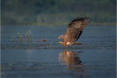 Z08_6940-Edit