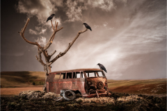 Z62_1484-Edit-Edit-Edit